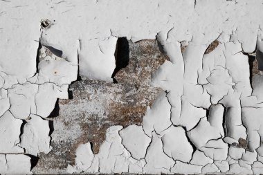 Beyaz boyalı yaşlı grunge sert tahta yüzey düz dokusu