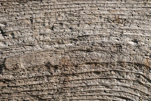 Naturligt åldrande grunge hårt trä styrelse yta platt konsistens — Stockfoto