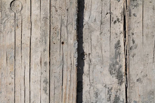 Natural aged grunge hard wood board surface flat texture