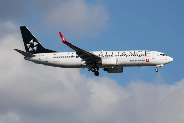 Istanbul Turkije Maart 2019 Star Alliance Turkish Airlines Boeing 737 — Stockfoto