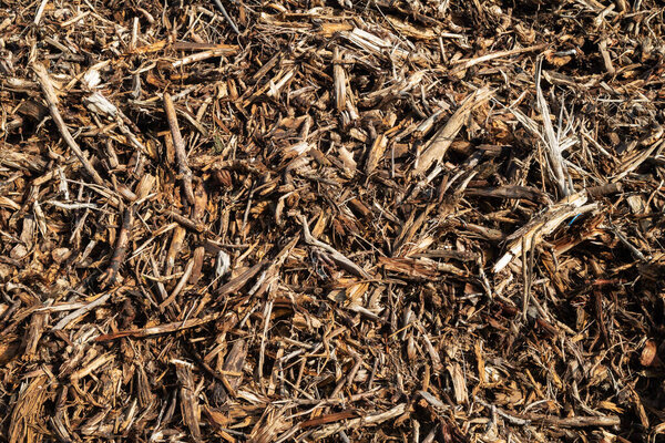 Natural wood mulch bark heap surface flat high quality texture