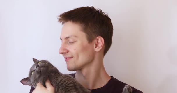 Kerl Auf Weißem Hintergrund Spielt Mit Einer Grauen Flauschigen Katze — Stockvideo