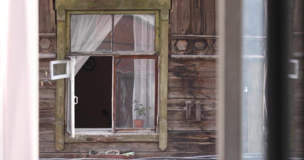 Altes Holzhaus Mit Fenster Und Einer Blume Auf Der Fensterbank — Stockvideo