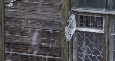 Eski ahşap bir evin arka planında şiddetli kar yağışı var.