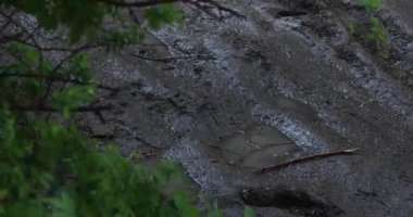 Yağmurda çamur birikintisi üzerinde kabarcıklar