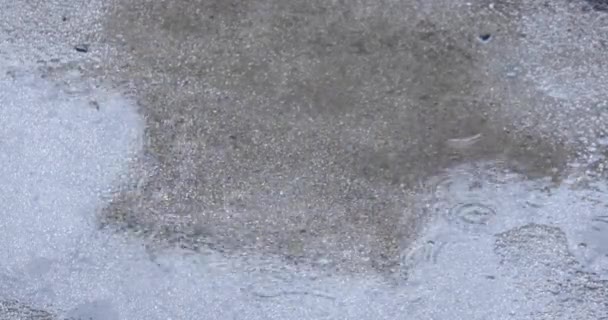 雨水从水坑中滴出 水坑上的圆圈散开了 — 图库视频影像