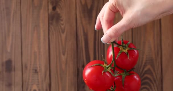 Monte Tomates Vermelhos Nas Mãos Fundo Marrom Madeira — Vídeo de Stock