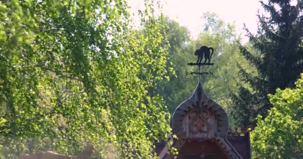 Dachvisier Mit Wetterfahne Form Einer Geschwungenen Schwarzen Katze — Stockvideo