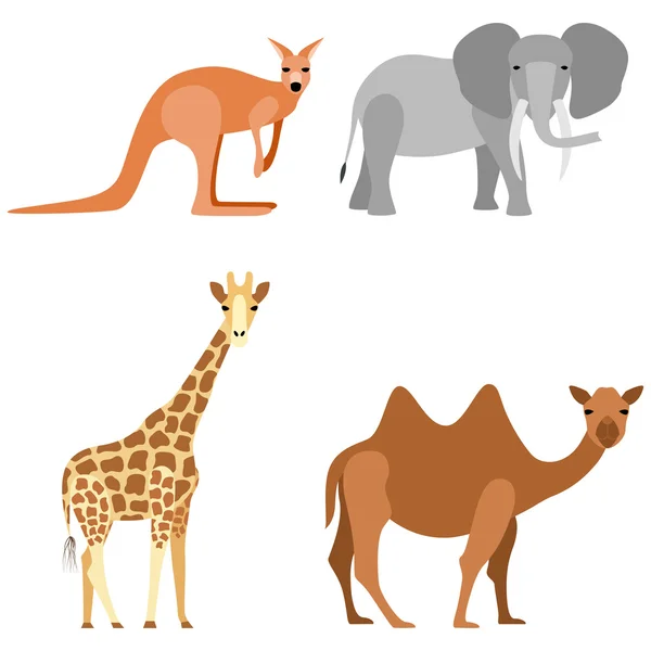 Készlet állatok: teve, zsiráf, elefánt, kenguru — Stock Vector
