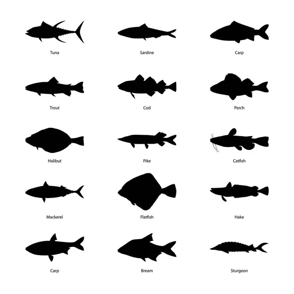 Uppsättning av silhuetter av fiskar, vektorillustration — Stock vektor