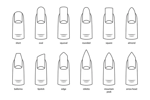 Formas de uñas, ilustración vectorial — Vector de stock