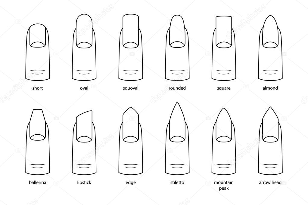 Nail shapes, vector illustration