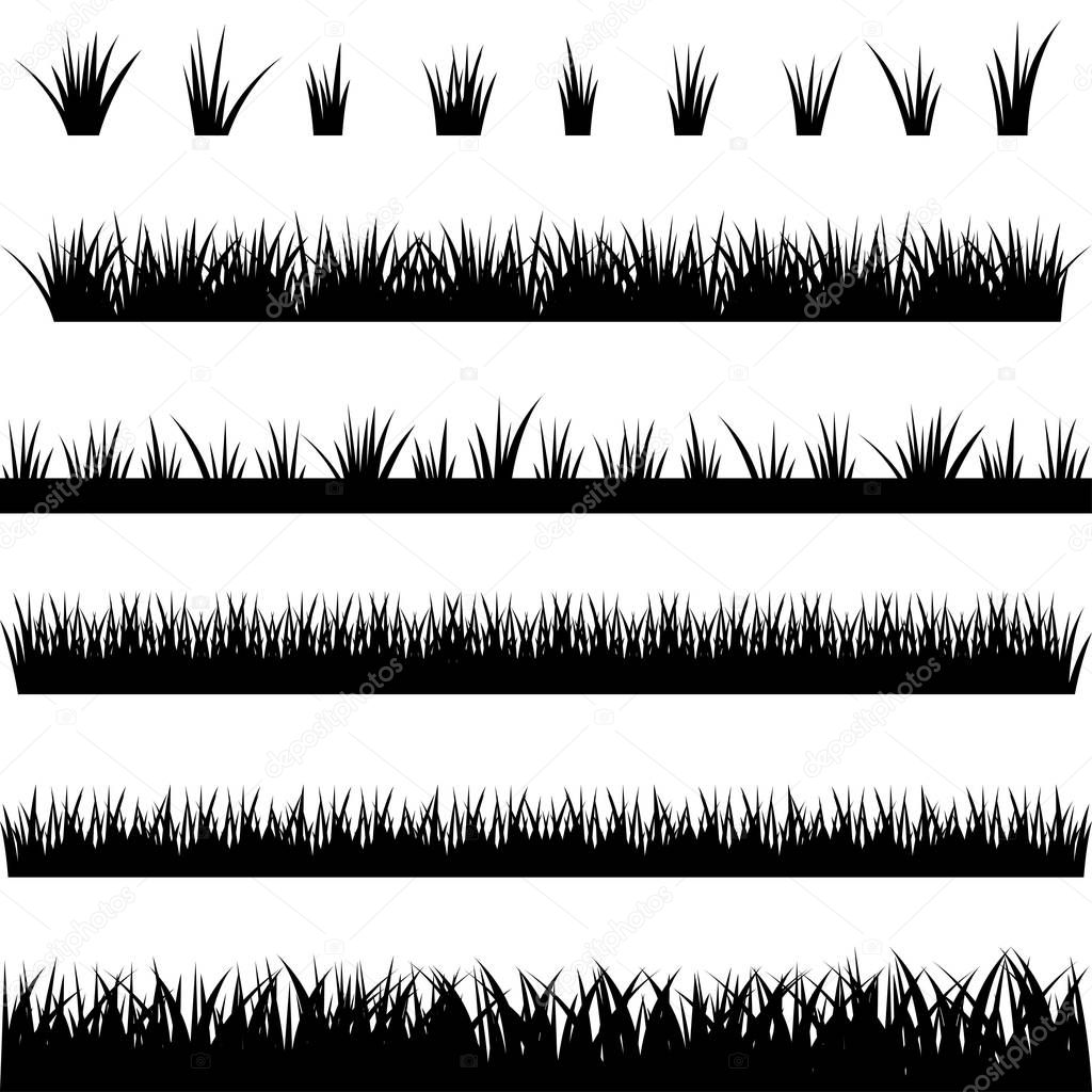 Collection of silhouettes of grass on white background