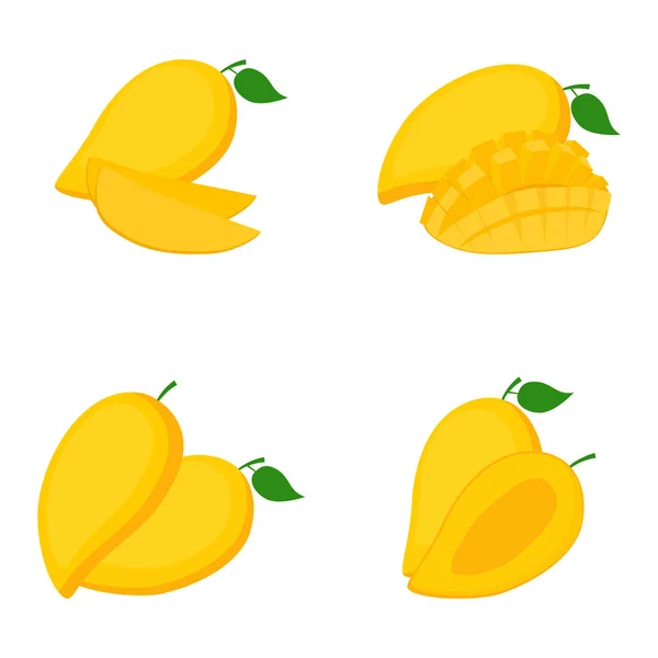 Μάνγκο, ολόκληρα φρούτα, φέτες, διανυσματική απεικόνιση — Διανυσματικό Αρχείο