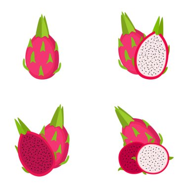 Ejderha meyvesi, tam meyve, dilim, vektör illüstrasyonu