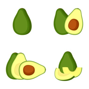Avokado, tam meyve, dilim, vektör illüstrasyonu
