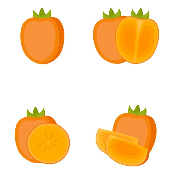 Persimmon, whole fruit, half, slice, vector illustration — Stock Vector