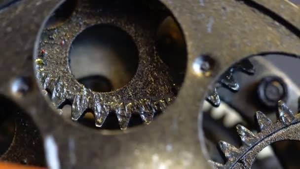 Rusty Tetro mekanisk klocka Gears — Stockvideo