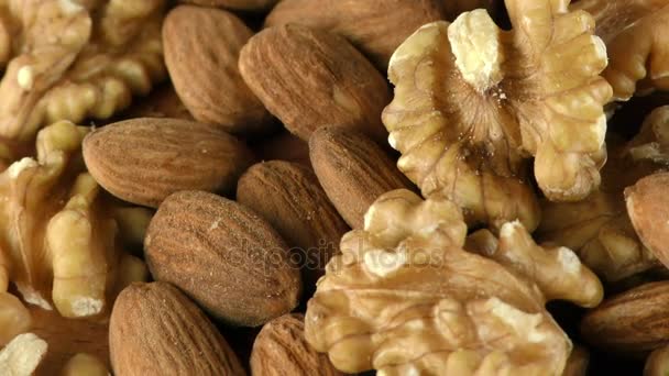 Almond and Walnut Macro View — Stock Video