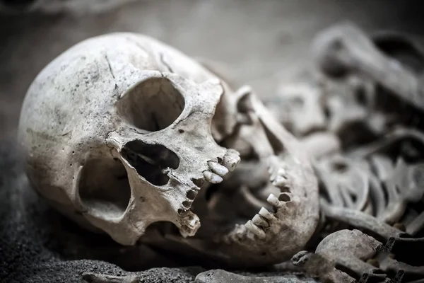 Csontváz halott test része fej — Stock Fotó