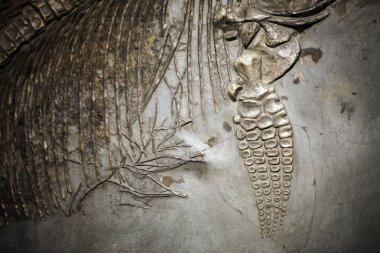 Tarih öncesi iskelet dinozor Fossile