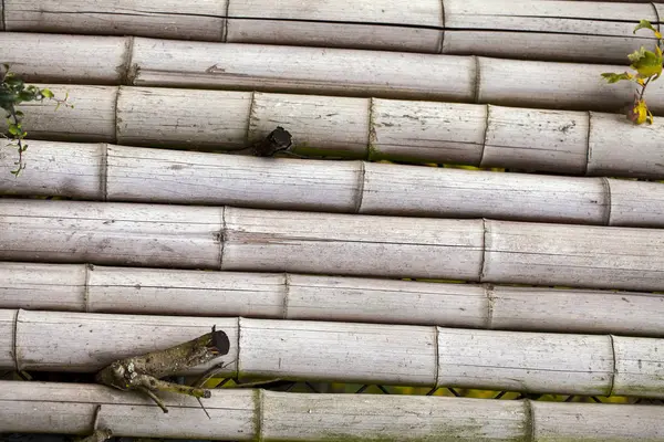 Textura de fundo de madeira — Fotografia de Stock