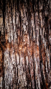 Ahşap Arkaplan Dokusu