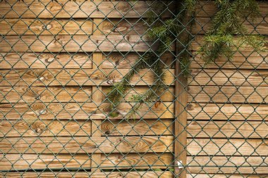 Ahşap Arkaplan Dokusu