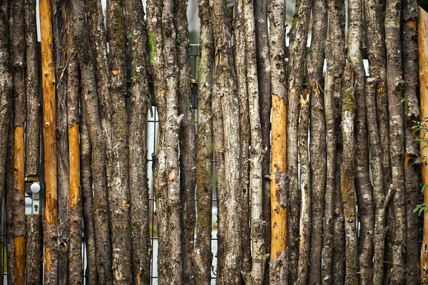 Achtergrondstructuur van hout — Stockfoto