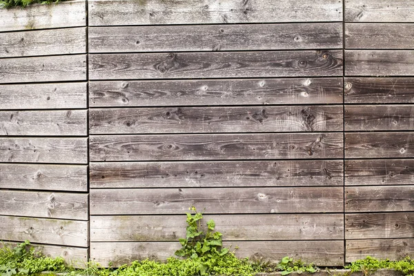 Textura de fundo de madeira — Fotografia de Stock