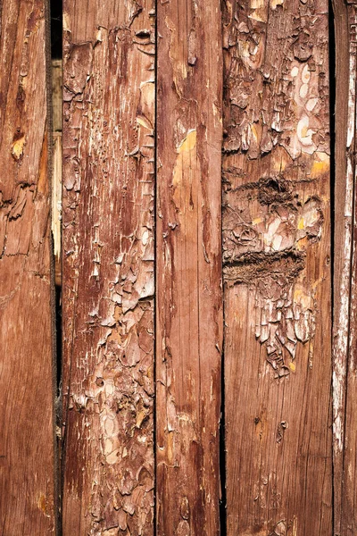 Holz Hintergrund Textur — Stockfoto