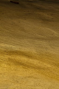 Ağaç Ağacı Kabuğu