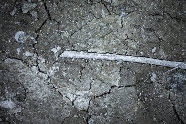 Toprak arka plan dokusu