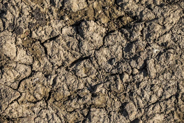 Beschaffenheit des Bodens — Stockfoto