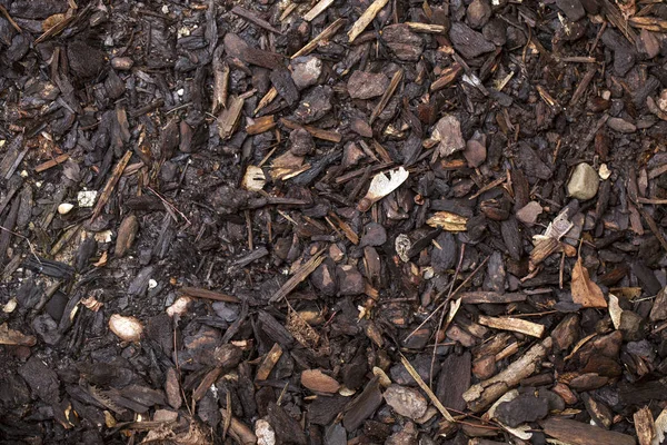 Trockener Herbst hinterlässt Naturkonzept — Stockfoto