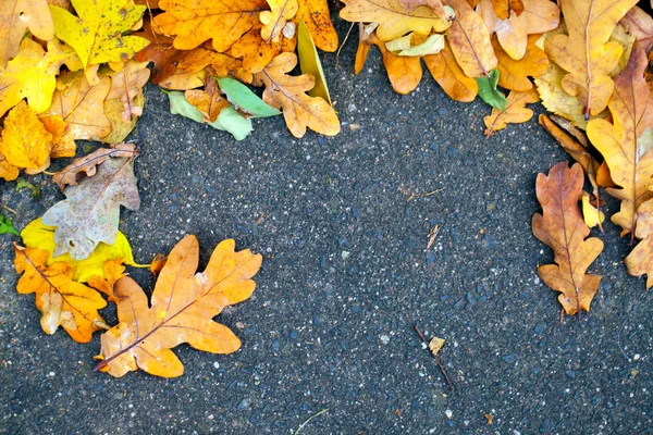 Dry Autumn Leaves Nature Concept — Stock Photo, Image