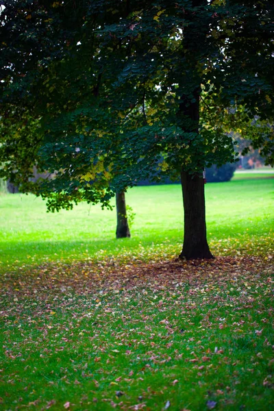 Vue sur le parc naturel — Photo