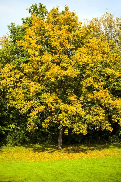 Widok parku przyrody — Zdjęcie stockowe