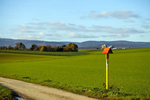 Groene weide natuur Concept — Stockfoto