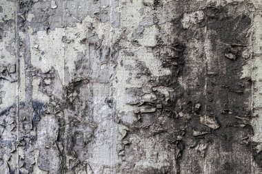 Grunge taş duvar arka plan