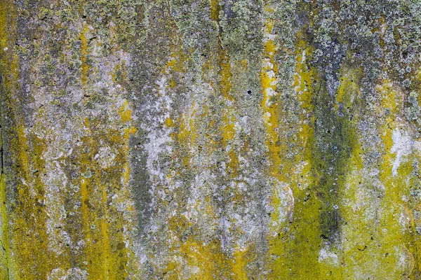 Grunge Stone Wall Background — Stock Photo, Image