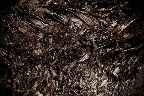 팜 나무 껍질 바디 — 스톡 사진