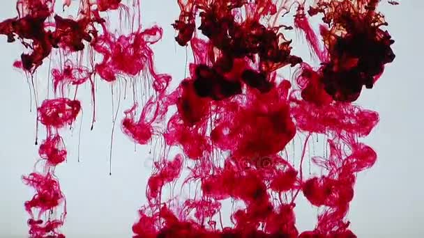 Peinture à l'encre abstraite mélange d'art éclaboussure colorée dans l'eau — Video