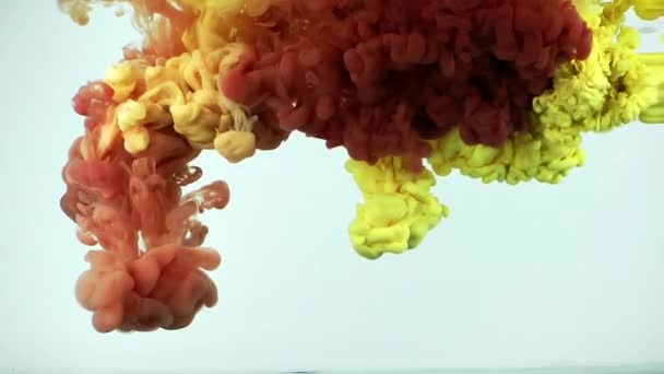 Αφηρημένη μελάνι χρωμάτων τέχνης μείγμα πολύχρωμο βουτιά σε υποβρύχια — Αρχείο Βίντεο