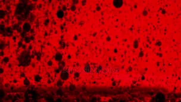 水油泡沫背景 — 图库视频影像
