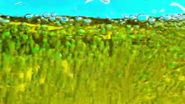 Vodní olej bubliny pozadí — Stock video