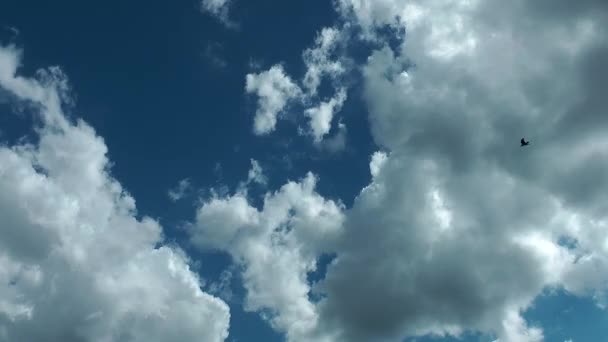 Wolken Himmel Ansicht Zeitraffer — Stockvideo