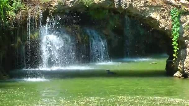 Cachoeira bela vista da natureza — Vídeo de Stock