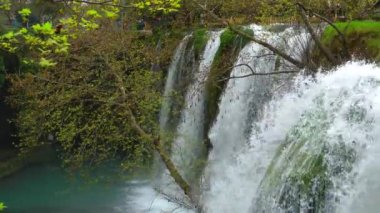 Şelale güzel doğa görünümü