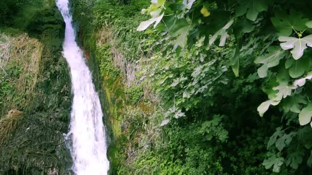 Cascada hermosa vista de la naturaleza — Vídeos de Stock